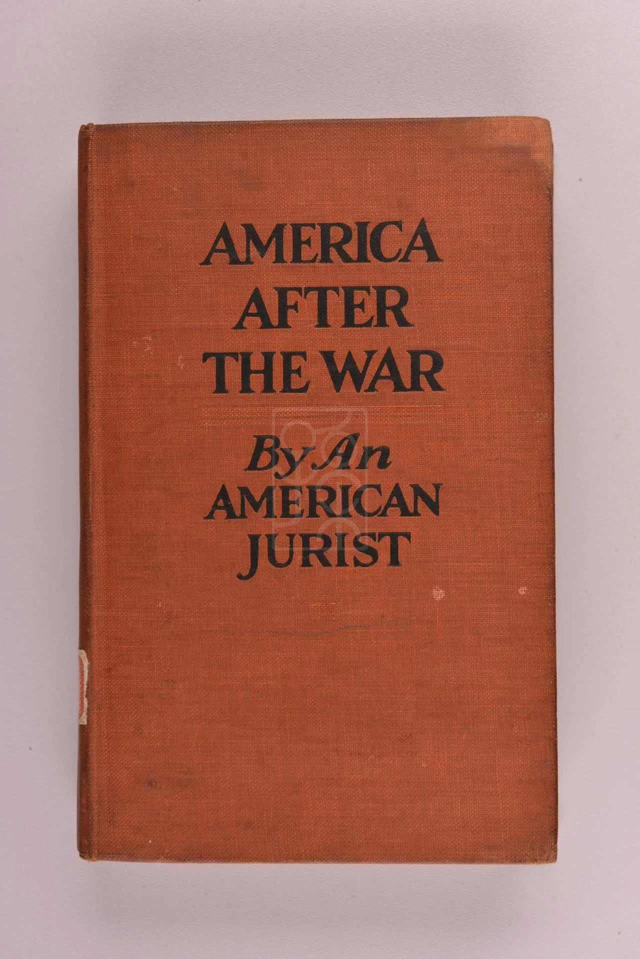1918年版《大战后的美洲》（America After the War）