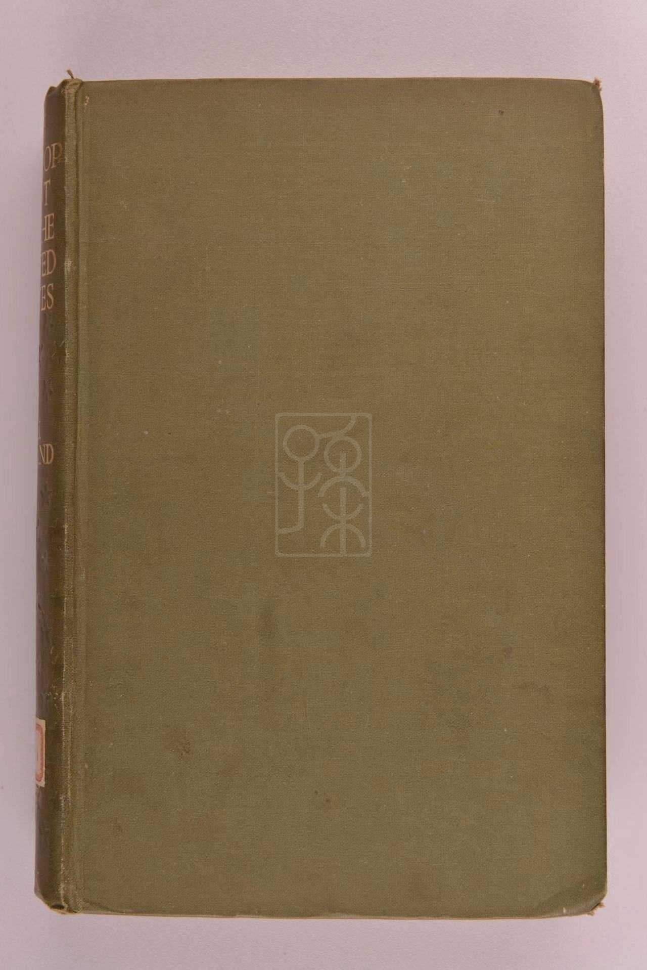 1919年版《美国的发展》（The Development of the United States）