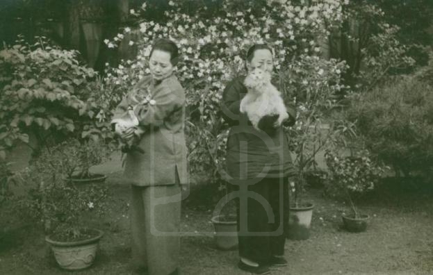 1956年4月宋庆龄与李燕娥在上海寓所花园留影